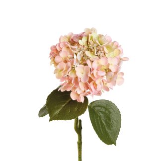 Hortensia light pink