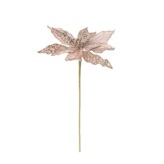 Poinsetta light pink velvet