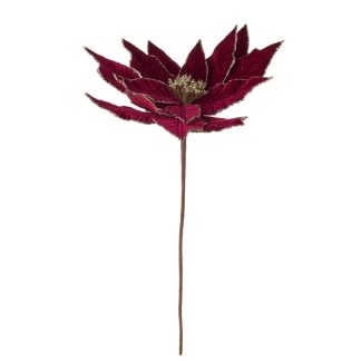 Poinsetta burgandy 34cm