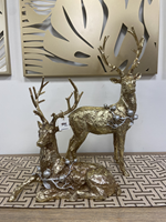 Reindeer gold standing