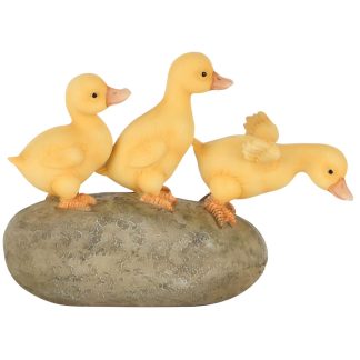 Threesome ducks on a rock